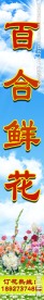 花店招牌