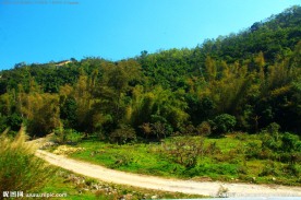 龙岗南澳一路风景山水