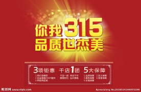 315活动促销宣传海