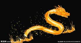 金龙