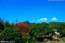 龙岗南澳一路风景山水