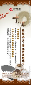 中医食疗X架