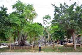 树间里的水池