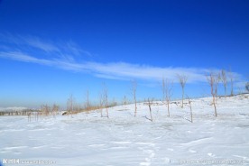 冬日雪景
