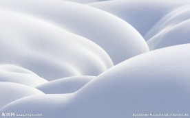 雪地