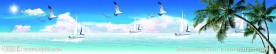 夏季公交车车体广告