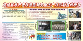 畜牧局安全生产月板报