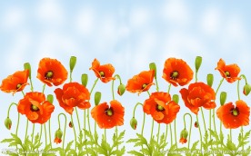花朵移门