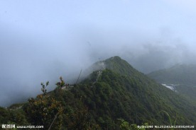 顶峰