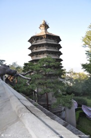 北京 戒台寺