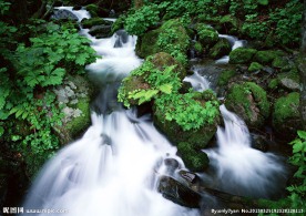 山水 河流 自然