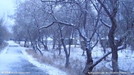 雪景 雾凇 田园风光