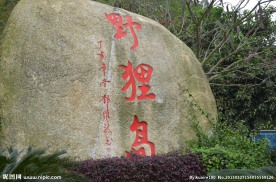 野狸岛