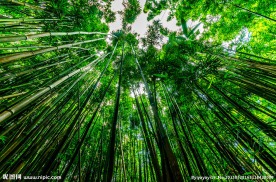 夏威夷风景