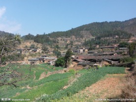 农村风景
