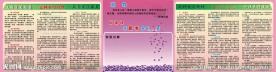 学校文化宣传栏