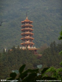 仙湖植物园塔