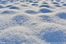 雪地