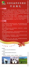 开业X展架设计