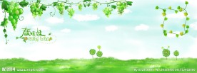 相册制作