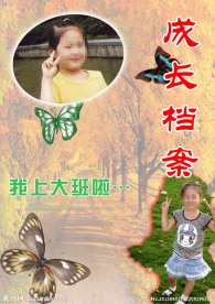 成长档案枫叶林