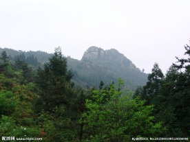 青山绿树