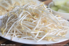 豆芽