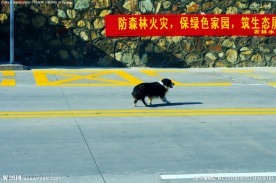 龙岗南澳一路风景山水