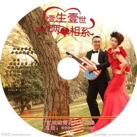 一生一世婚庆光盘封面