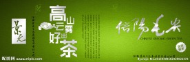 绿茶标签礼券 信阳毛尖