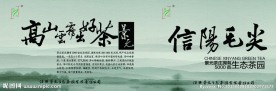 信阳毛尖