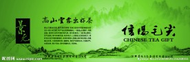 绿茶信阳毛尖
