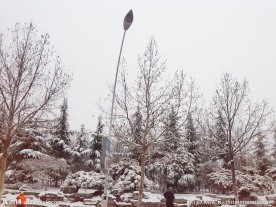 雪景