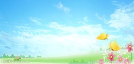 绿色背景图