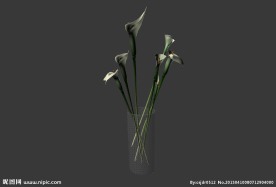 鲜花模型