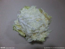 大白菜 （注非高清）