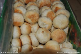 绿豆饼