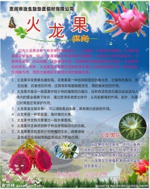 火龙果