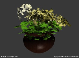 鲜花模型