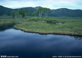 湖边草地