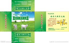 张老六鲜羊火锅