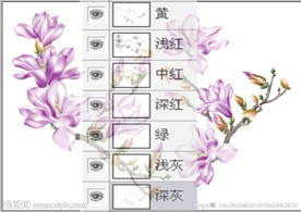 玉兰花(通道分层)
