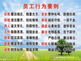 行为要则