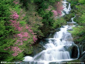 春天山间小溪