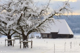 鄂尔多斯冬季风景