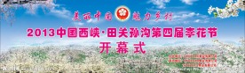 李花节