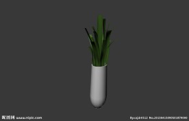 植物模型