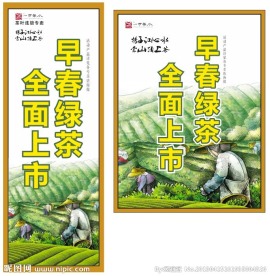 茶叶宣传海报