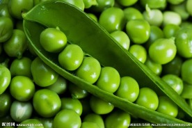 豌豆