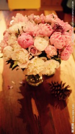 灯光下的芍药花